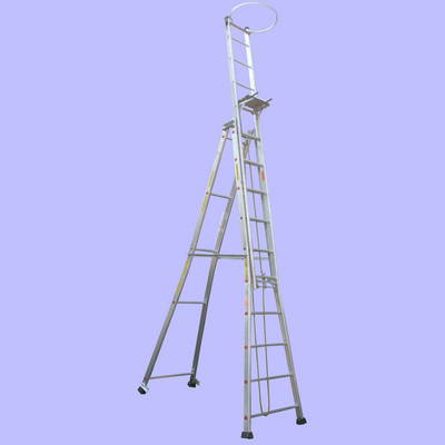 Self Support Extendable Ladder