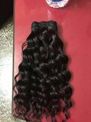 Indian Curly Hair
