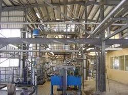 Edible Oil Plant