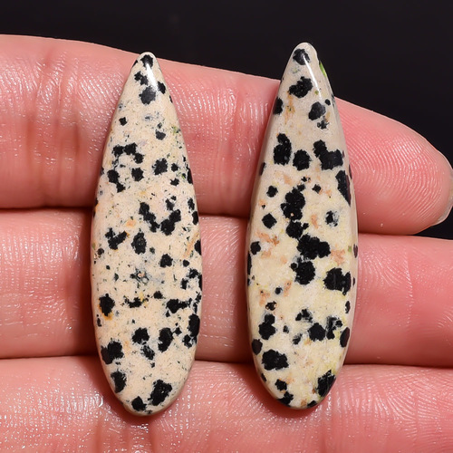 Dalmatian Stone