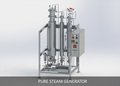 Pure Steam Generator Hole Size: As Per User Requirement Millimeter (mm)