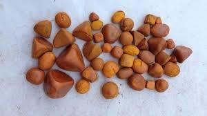 Ox Gallstones,Cow Gallstones