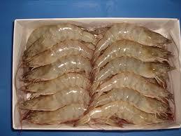 Frozen Vannamei Shrimp
