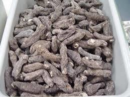High Quality Dried Wild Sea Cucumber