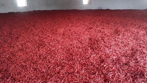 Byadgi Dry Red chilli