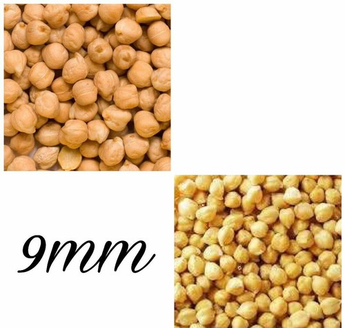 Brown Kabuli Chickpeas