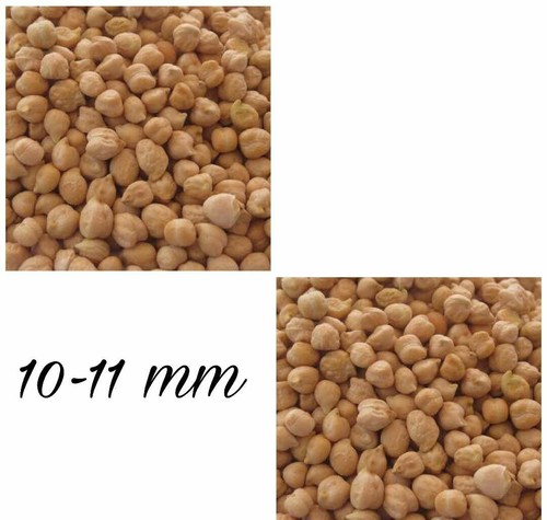 Brown Chick-Peas
