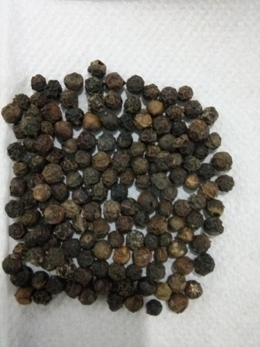 Black Pepper