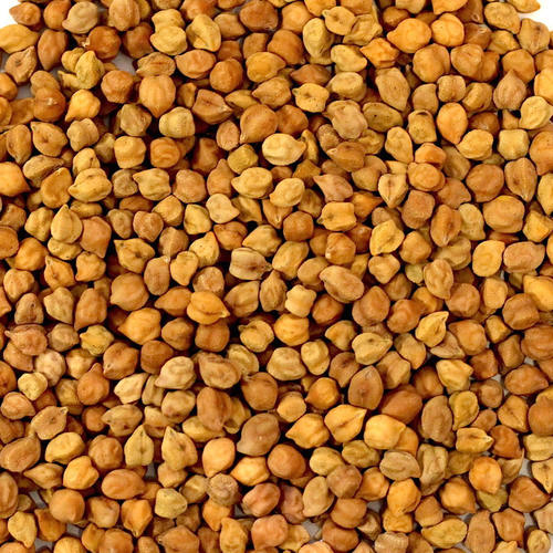 Common Desi Chick-Peas
