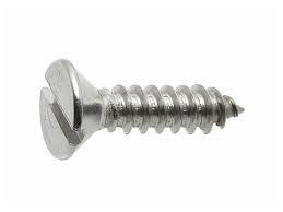 Ss Self Tapping Screws Slotted