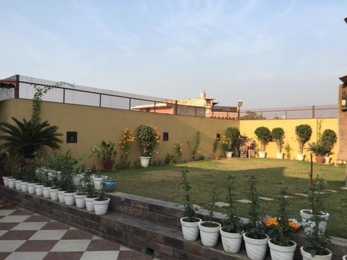 Terrace Garden Services