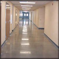 Marble Floor Polishing - Spandex Material | Advanced Mirror Image Process For Enhanced Durability, Stain Resistance, And Easy Maintenance