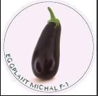 Brinjal Seeds