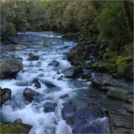 Shallow Ground Water Survey