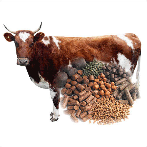 Pure Cattle Feed Pallet