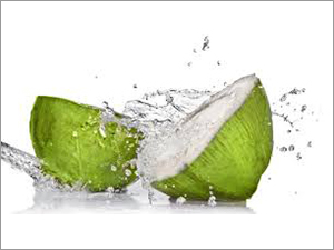 Young Green Coconut