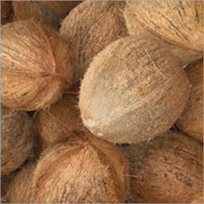 Brown De Husked Coconut