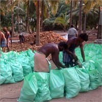 Mature Fresh Coconut - 12 Inch Whole, Semi-husked Brown Organic Variety | Rich Sweet Taste, Enriched With Antioxidants, Hygienically Processed
