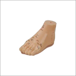 Foot - Silicone Material | Skin Color, Suitable for Men and Women, Weighs Between 150 - 350 Grams