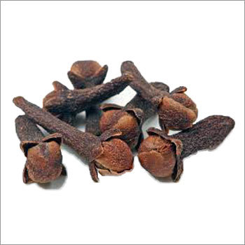 Clove - Brown, Variable Size | Aromatic, Flavorful, Culinary, Medicinal, Moisture 12%, Versatile Packaging in Bulk, 24 Months Shelf Life