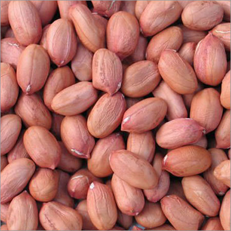 Groundnut
