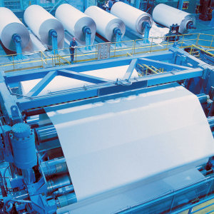 Paper Industry Machinery Parts
