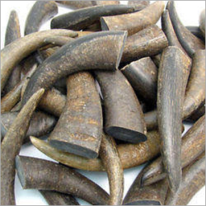 Natural Buffalo Horn Tips