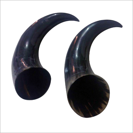 Decorative Buffalo Horns