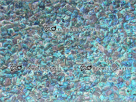 Abalone Shell