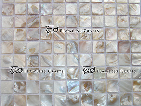 River Shell Mosaic On Net