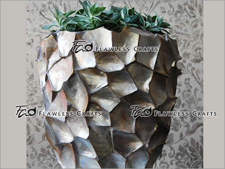 Black Shell Pote