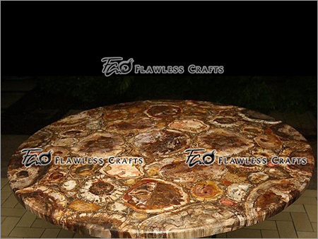 Petrified Wood Stone Table