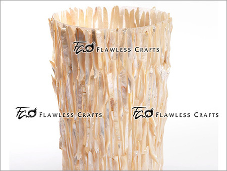 Solid Shell Pote - Shell, 8-12 cm Diameter, Off-White, Natural Finish | Elegant Design, Durable, Versatile Use