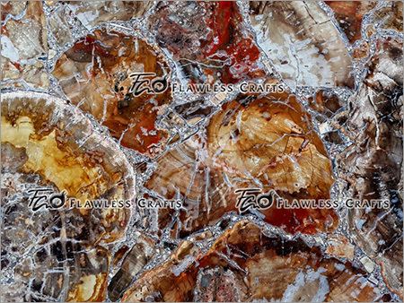 Petrified Brush Finish - Stone, Variable Size, Beige | Natural Texture, Unique Brushed Finish, Durable, Decorative