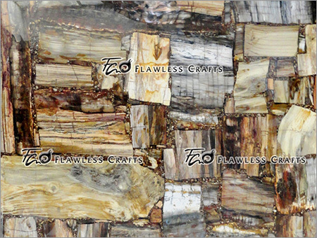 Petrified Retro Cut