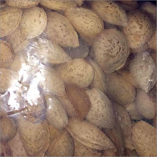 Shelled Almond