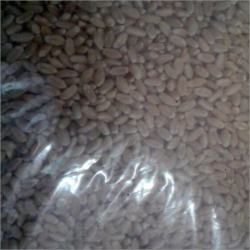 Organic Wheat
