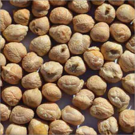 Chickpeas Kabuli