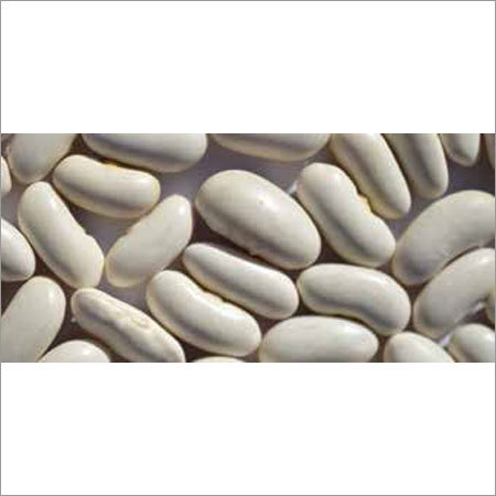 White Kidney Beans By MDECA GROUP SRL