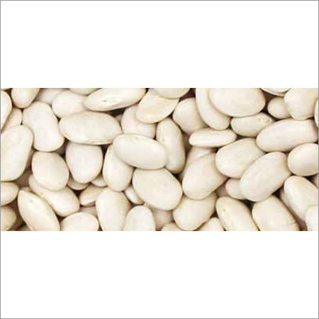 Great Northern Beans By MDECA GROUP SRL