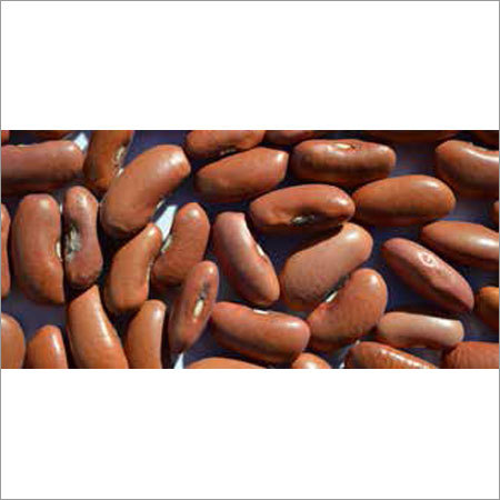 Light Red Kidney Beans By MDECA GROUP SRL