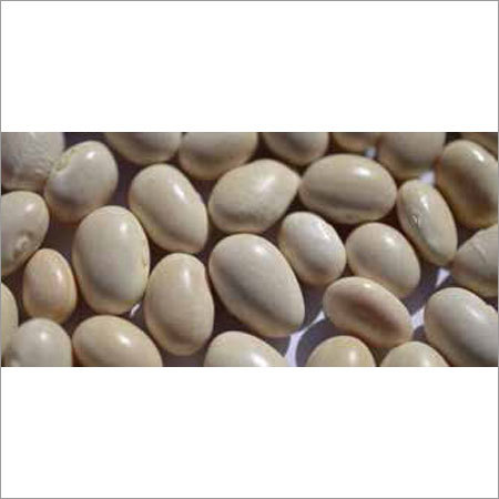 Oval White Beans By MDECA GROUP SRL