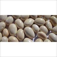 Oval White Beans