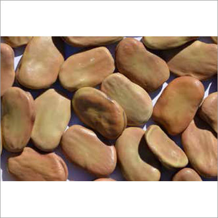 Broad-Fava Beans By MDECA GROUP SRL