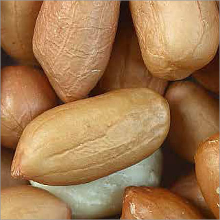 Blanched Peanuts 