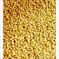 Amaranth Seeds