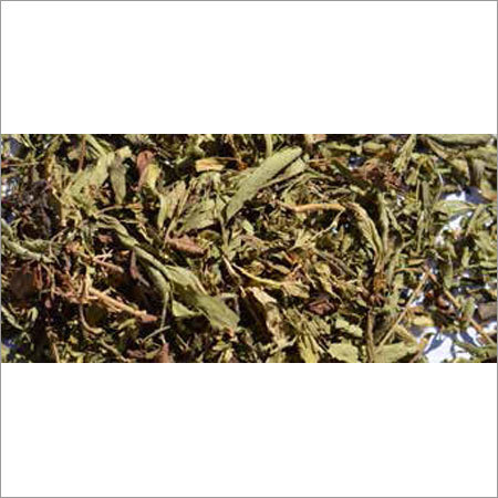 Stevia Leaf By MDECA GROUP SRL