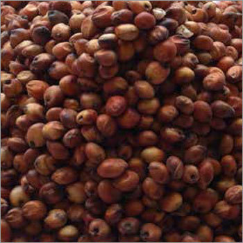 Red Sorghum By MDECA GROUP SRL
