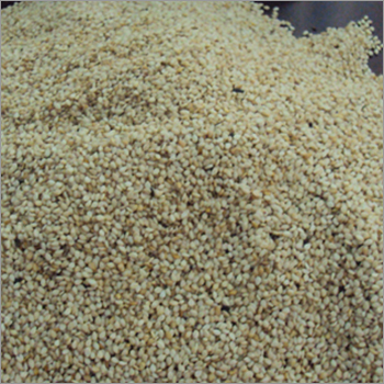 Sesame Seeds