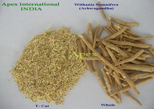 Withania Somnifera Root T Cut